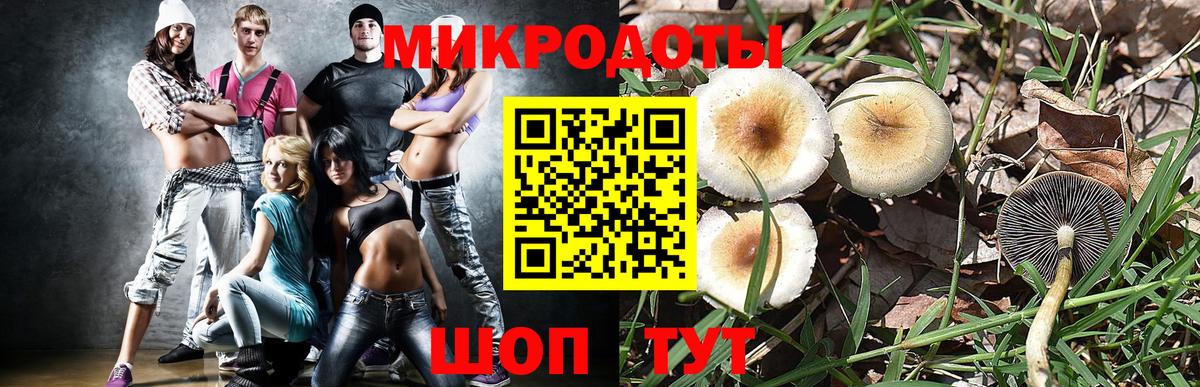Азнакаево  Галлюциногенные грибы Psilocybine cubensis  Вход с VPN  Галлюциногенные грибы GOLDEN TEACHER 